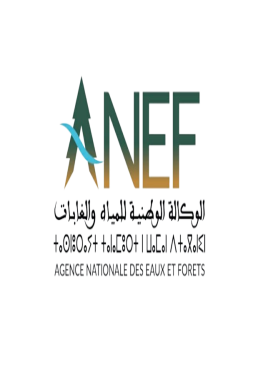 تعاونيات.. اتفاق بين النقابة الوطنية وANEF على تسوية ملفات عالقة