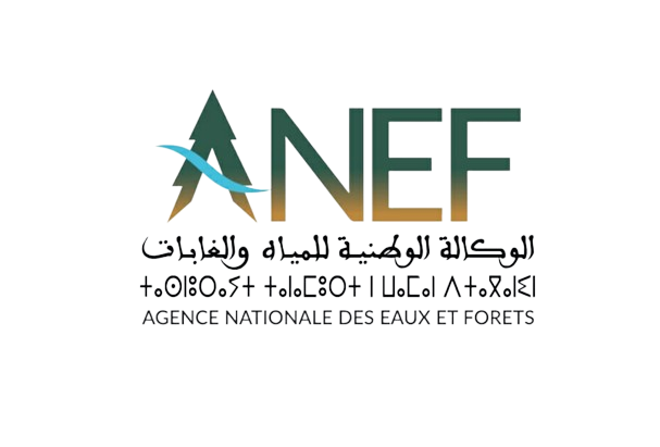 تعاونيات.. اتفاق بين النقابة الوطنية وANEF على تسوية ملفات عالقة