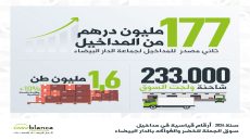 سوق الجملة للخضر والفواكه بالدار البيضاء يحقق نتائج غير مسبوقة بلعت ما مجموعه 177 مليون درهم في 2024