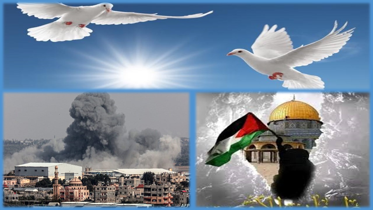 نهاية مأساة إنسانية: وقف إطلاق النار في غزة وتداعياته على البيئة