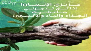 صورة اليوم