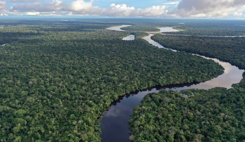 شركات الغاز تهدد غابات الأمازون في البيرو بدعم من المصارف الفرنسية