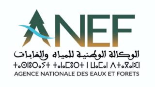 الوكالة الوطنية للمياه والغابات تتخذ إجراءات صارمة في حق بعض المخالفين