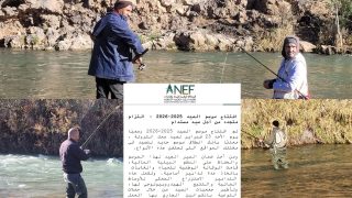 مياه وغابات .. افتتاح موسم 2025-2026 لصيد سمك التروتة