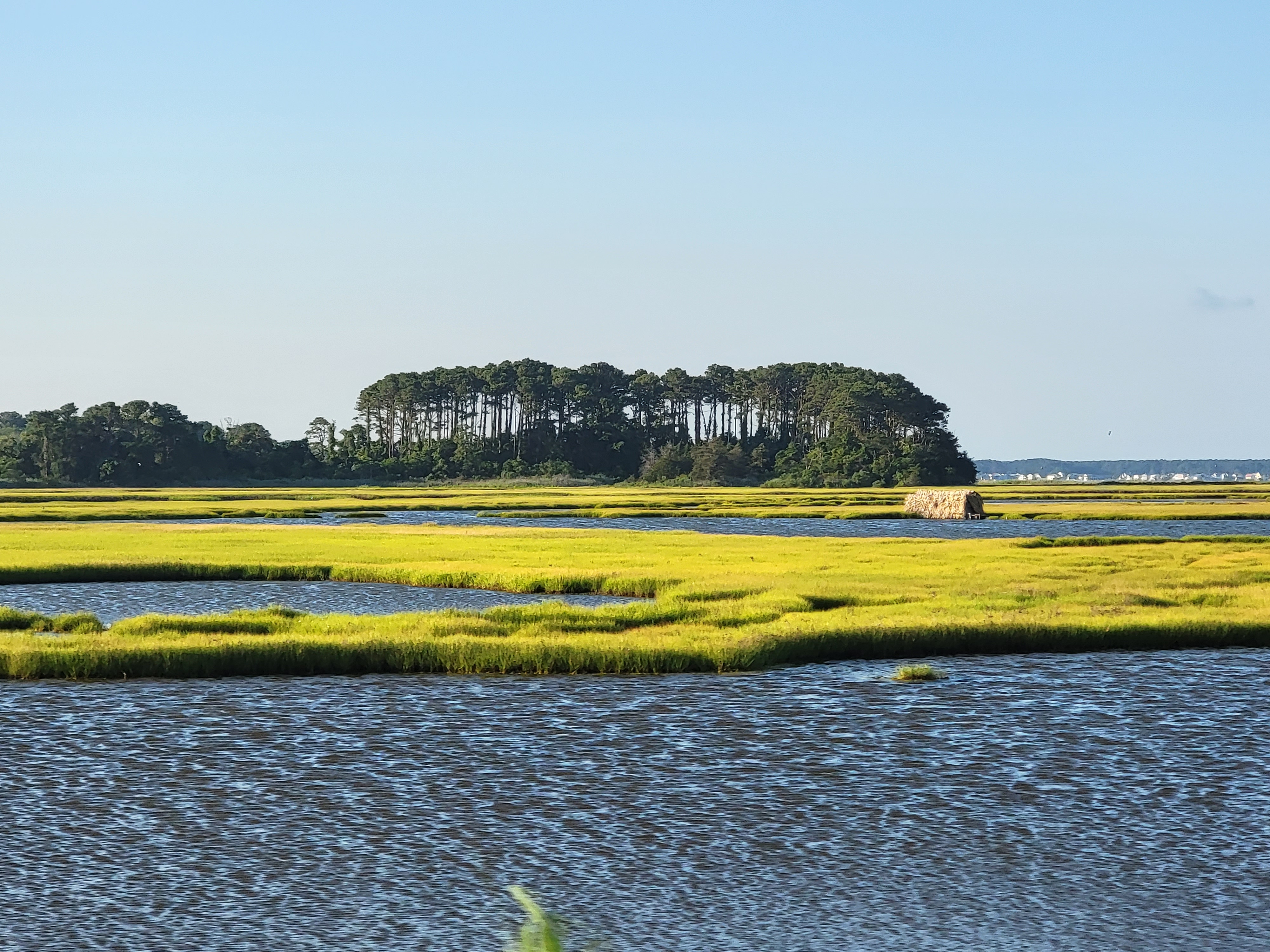 الأراضي الرطبة.. كنز بيئي مهدد