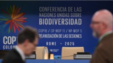 كوب16 للتنوع البيولوجي..استئناف المفاوضات حول التمويل