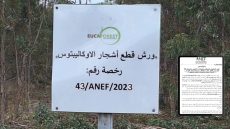 الوكالة الوطنية للمياه والغابات تنفي خبر تعرض غابات سيدي سليمان للنهب