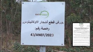 الوكالة الوطنية للمياه والغابات تنفي خبر تعرض غابات سيدي سليمان للنهب