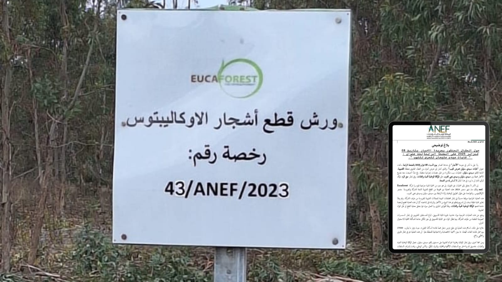 الوكالة الوطنية للمياه والغابات تنفي خبر تعرض غابات سيدي سليمان للنهب