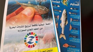 “المغرب الأزرق” تطلق الحملة الوطنية لمكافحة ترويج المنتوجات البحرية دون الحجم التجاري المسموح به