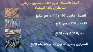 أثمنة الأسماك بسوق مارشي سانطرال بالدار البيضاء