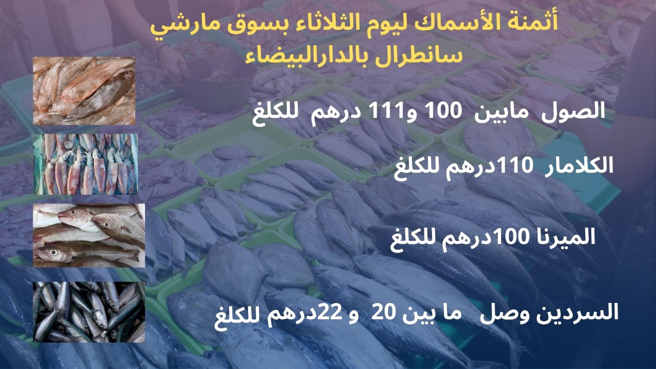 أثمنة الأسماك بسوق مارشي سانطرال بالدار البيضاء