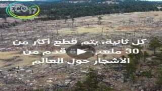قطع الاشجار