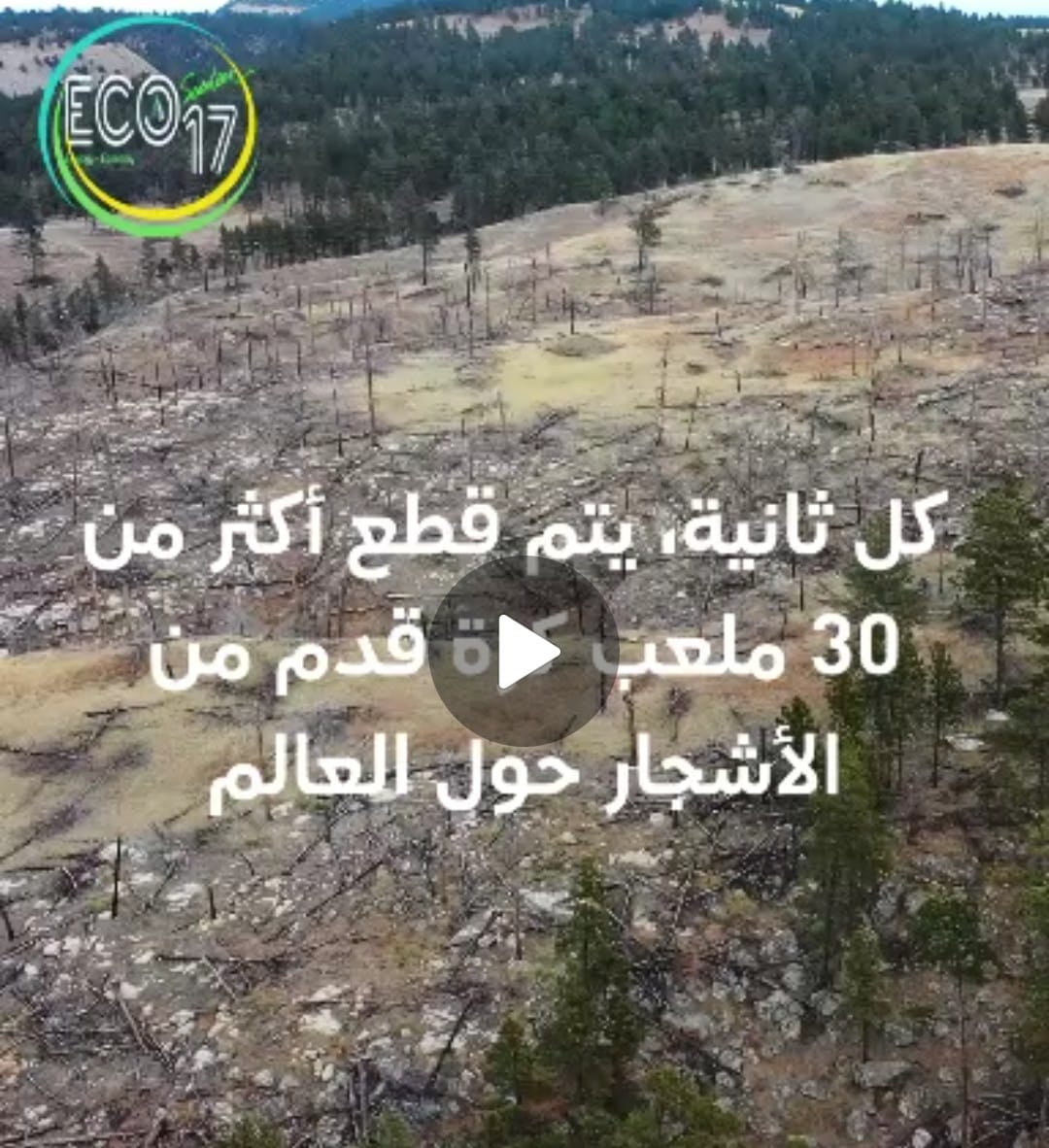 قطع الاشجار