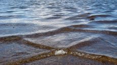 ظاهرة الأمواج المربعة