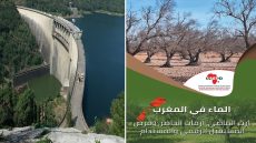 الماء في المغرب: إرث الماضي، أزمات الحاضر، وفرص المستقبل الرقمي والمستدام