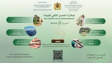 فتح باب الترشيح لجائزة الحسن الثاني للبيئة الدورة 15