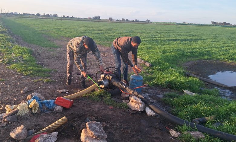 كارثة زراعية تهدد صحة المستهلكين في أولاد صالح و حملة أمنية ضد سقي المزروعات بالمياه العادمة