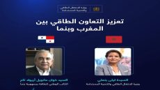 ليلى بنعلي تعقد اجتماعا عن بعد مع الكاتب الوطني للطاقة بجمهورية بنما