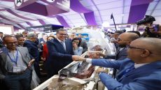 رئيس الحكومة يعطي الانطلاقة الرسمية لفعاليات الدورة السابعة لمعرض “أليوتيس” الدولي بأكادير