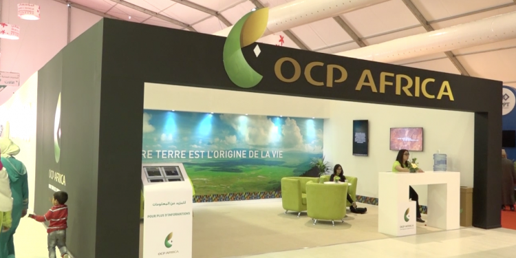 من الأسمدة إلى التمويل.. OCP Africa تقدم حلولا لاستدامة الفلاحة في إفريقيا