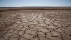 آثار التغيرات المناخية على مستقبل الزراعة والأمن الغذائي بالشرق الأوسط وشمال إفريقيا