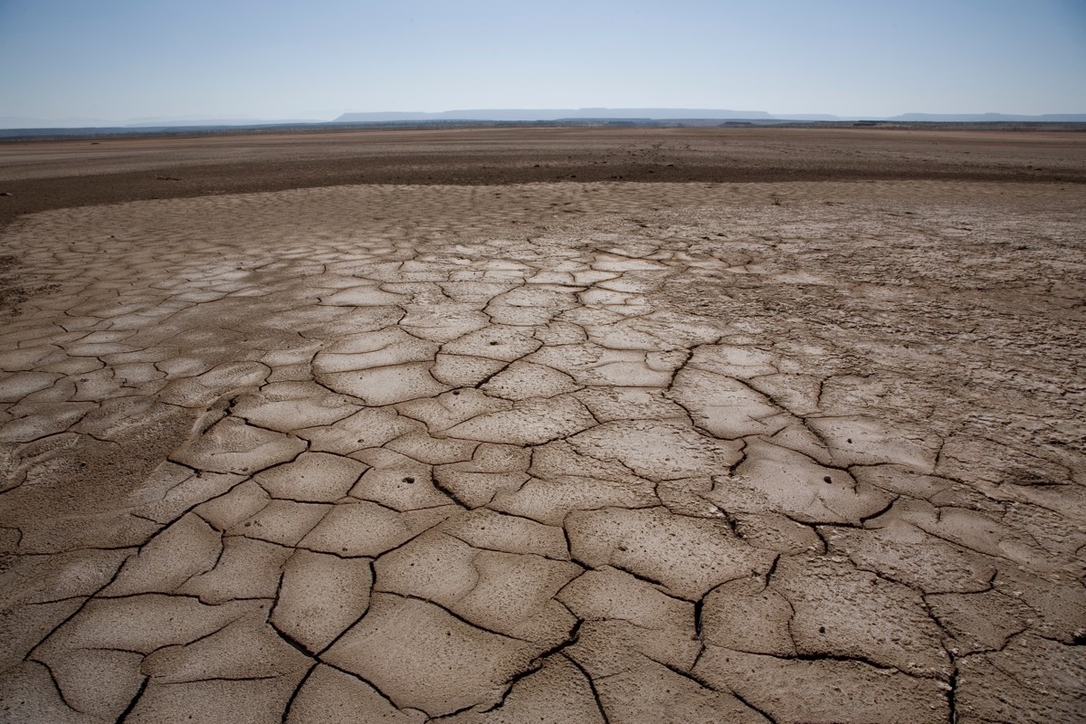آثار التغيرات المناخية على مستقبل الزراعة والأمن الغذائي بالشرق الأوسط وشمال إفريقيا