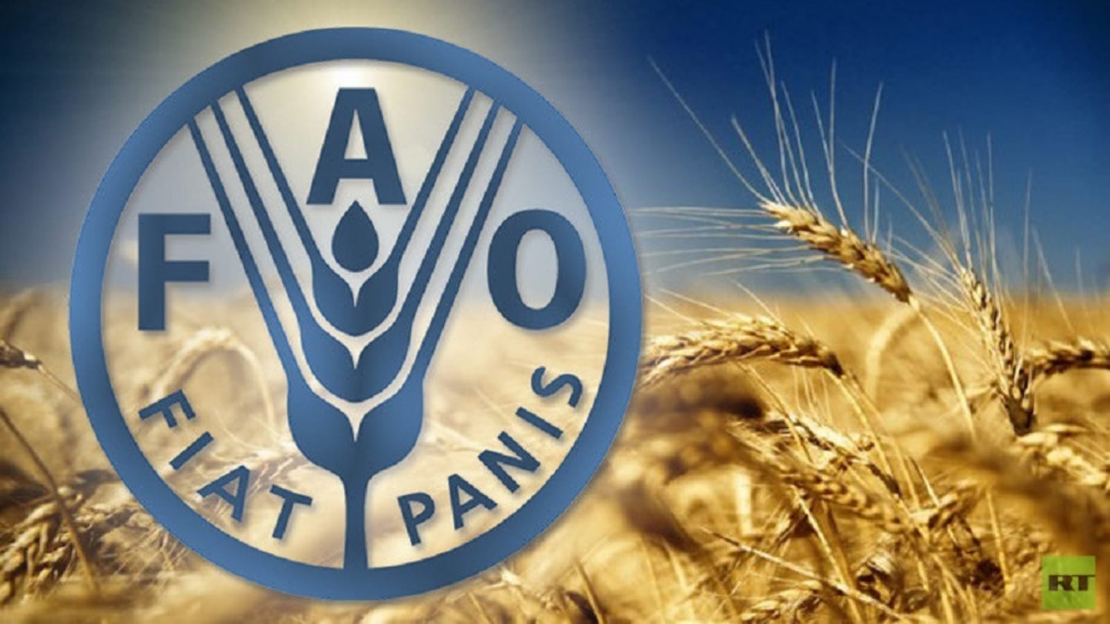 منظمة الأغذية والزراعة (الفاو): دورها، إنجازاتها، التحديات والانتقادات