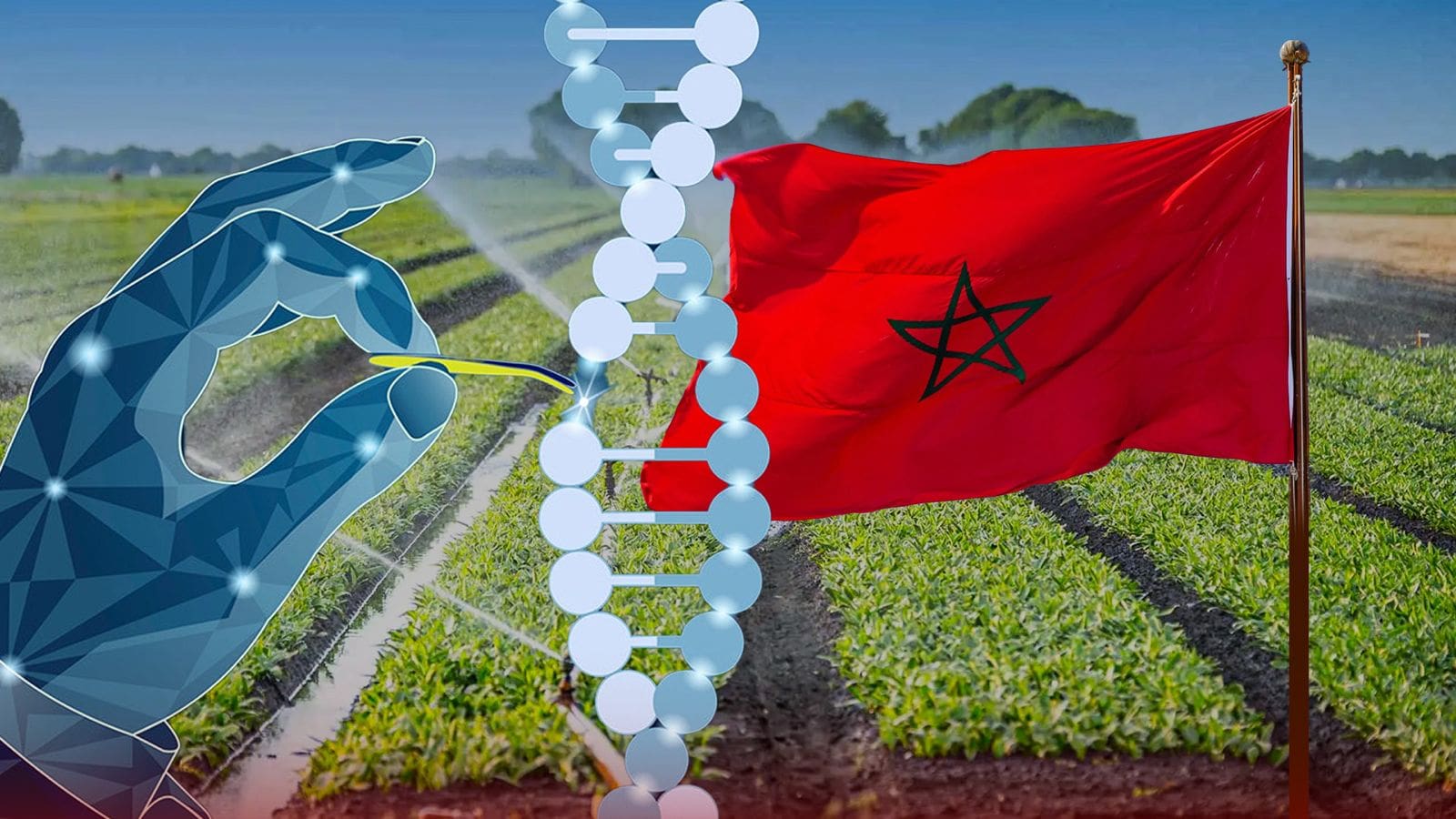 المغرب يتقدم في مجال الزراعة بتطوير تقنية كريسبر CRISPR لتحقيق الأمن الغذائي