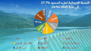 حقينة السدود