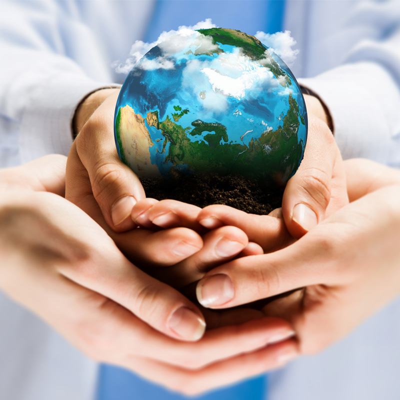 المسؤولية التضامنية في القضايا البيئية.. نحو نموذج جديد لتعويض الأضرار