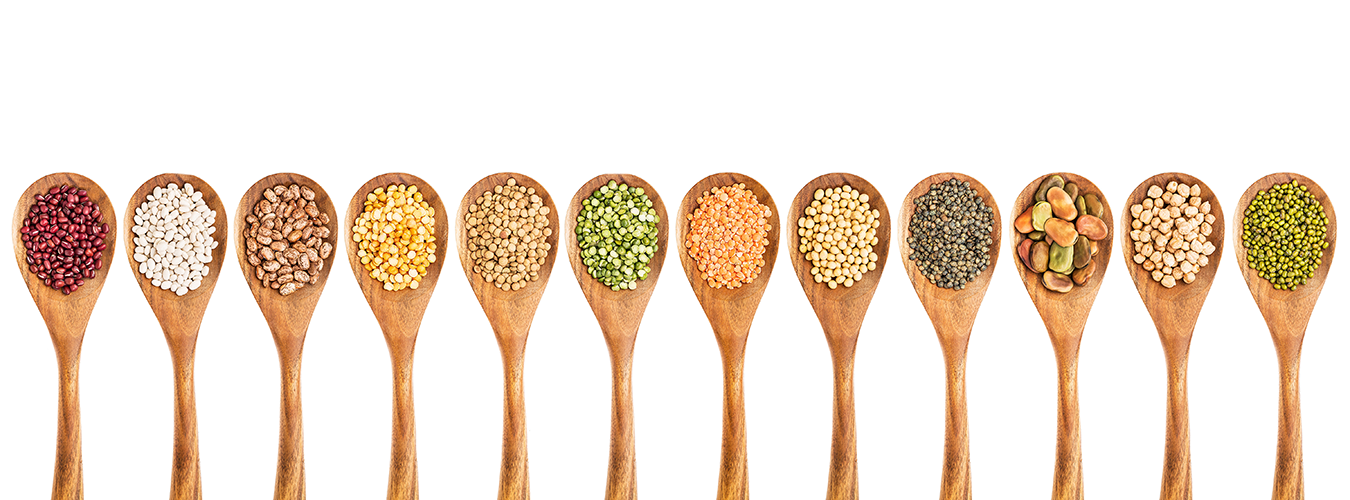 البقوليات..مفتاح الاستدامة الزراعية والأمن الغذائي في المستقبل