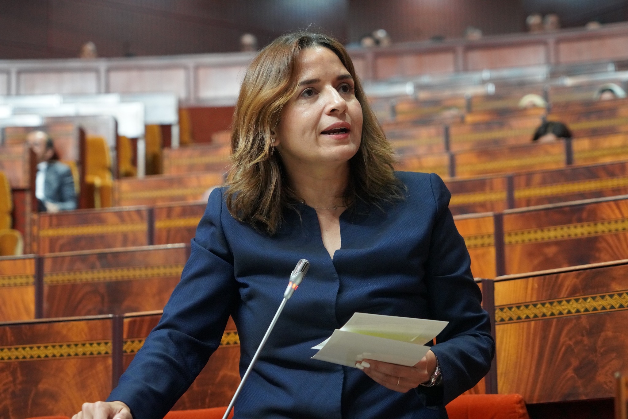 ليلى بنعلي.. كشفت عن حصيلة الاستثمارات في شبكة نقل الكهرباء الوطنية