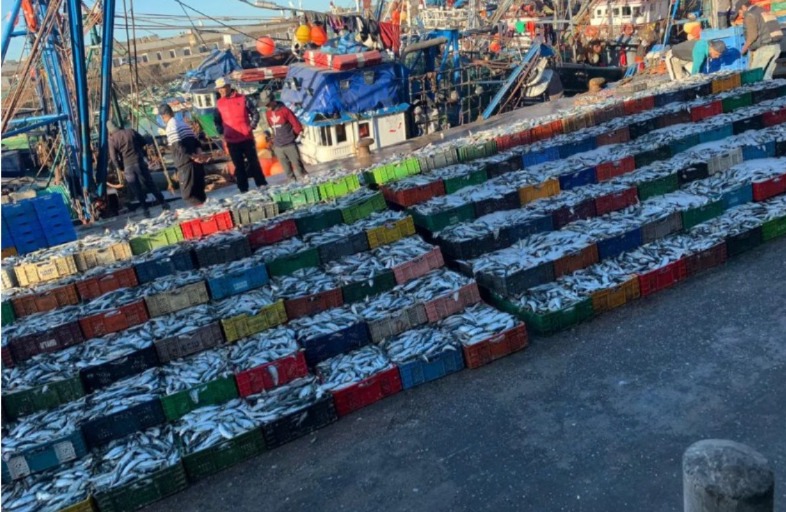 مبادرة اﻟﺤﻮت ﺑﺜﻤﻦ ﻣﻌﻘﻮل..تقديم اﻟﺤﺼﯿﻠﺔ بالدارالبيضاء