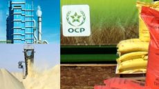 استثمار استراتيجي جديد لـ OCP Nutricrops.. تعزيزا للاستدامة و الأمن الغذائي العالمي