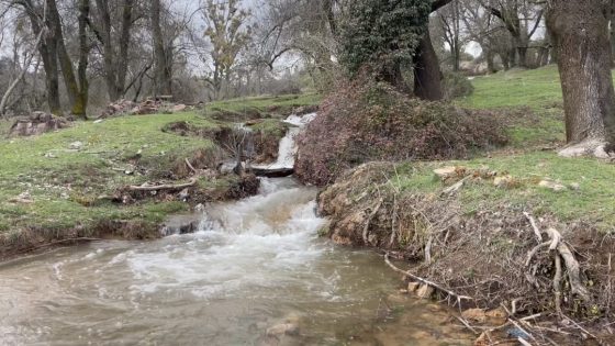 إفران.. الأمطار تبعث حياة جديدة إلى واد تزكيت