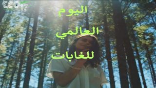 فيديو: اليوم العالمي للغابات