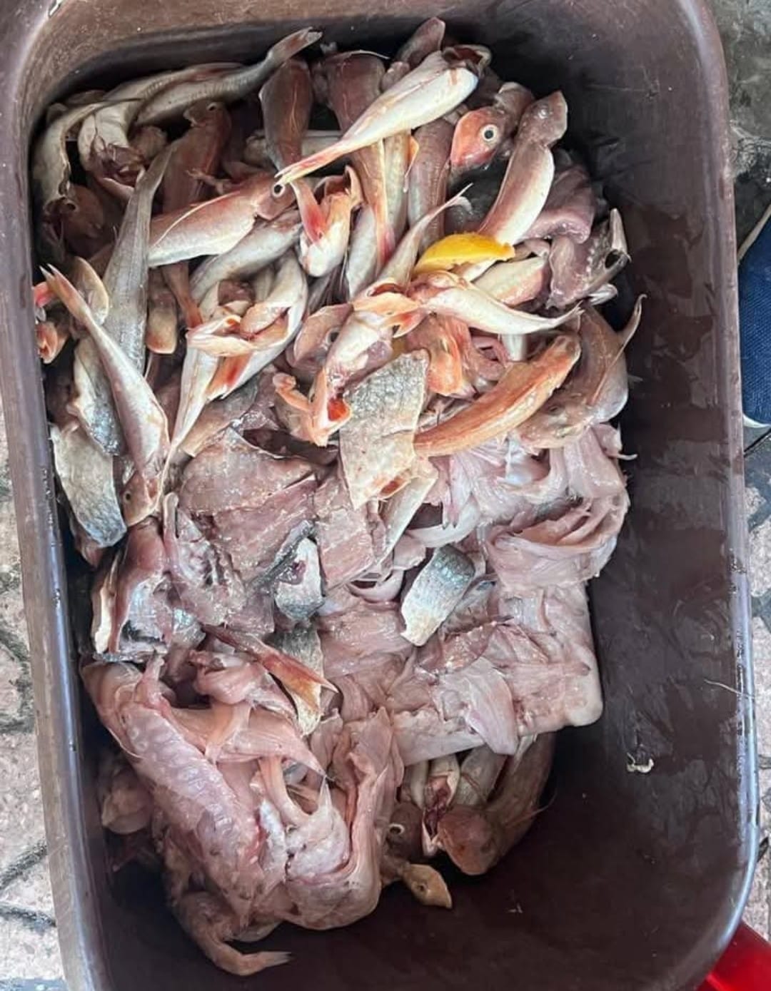 برشيد..السلطات تحجز مواد غذائية فاسدة