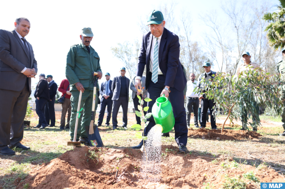 ANEF تحتفي باليوم العالمي للغابات عبر مبادرات لتعزيز الاستدامة البيئية