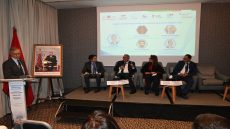 المركز الجهوي للاستثمار.. يعزز التنافسية الخضراء بجهة طنجة-تطوان-الحسيمة
