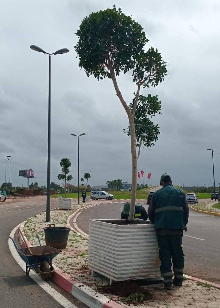 مقاطعة سيدي البرنوصي.. جهود متواصلة لتحقيق تنمية حضرية مستدامة