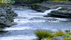 فيديو: اليوم العالمي للماء