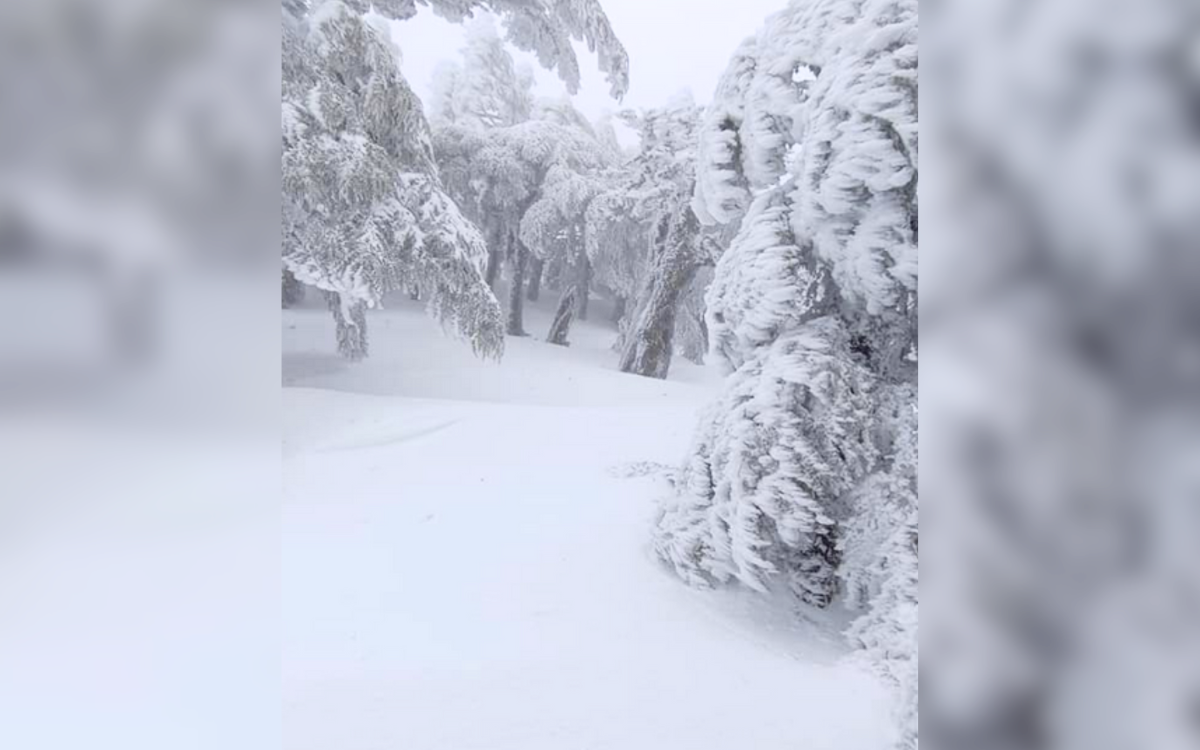 إقليم الحسيمة.. مرتفعات مغطاة بثلوج من 60 سم