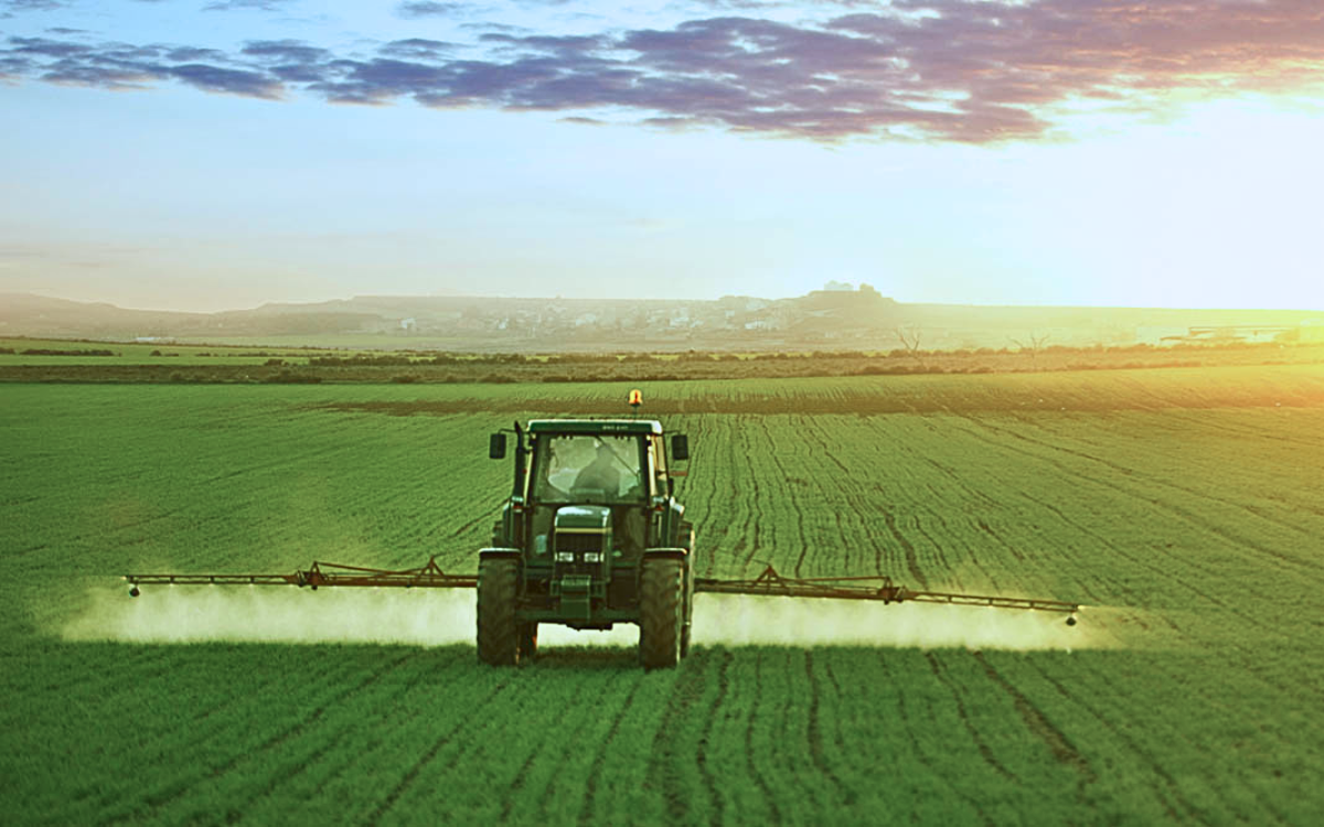 إقليم تطوان.. استبشار بموسم فلاحي جيد