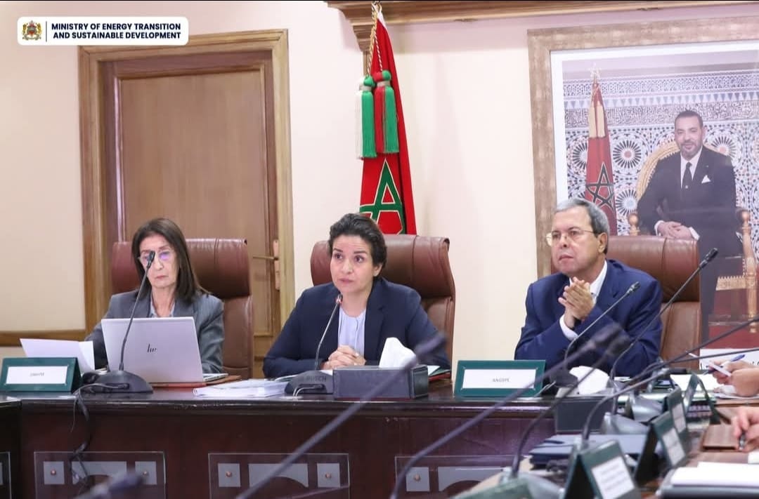 بنعلي تدعو لتعزيز الشراكات في قطاع الهيدروكربورات و المعادن