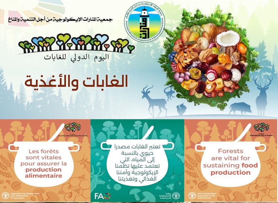 الغابات والأمن الغذائي.. محور الاحتفال باليوم العالمي للغابات 2025