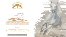 أسا الزاك..تنظم مهرجان أهل الخيل الشهب للسياحة الإيكولوجية