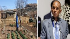 إفريقيا ترفع صوتها: نواصل الكفاح من أجل المناخ رغم الضغوط