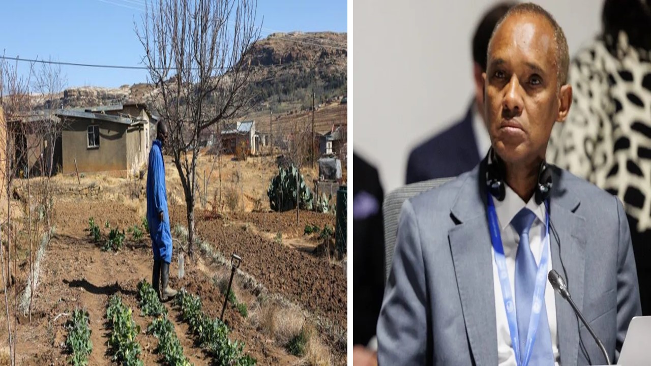 إفريقيا ترفع صوتها: نواصل الكفاح من أجل المناخ رغم الضغوط