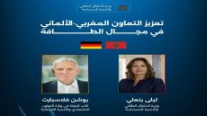 بنعلي.. مباحثات حول تنفيذ مشاريع البحث والتطوير في مجال Power To X